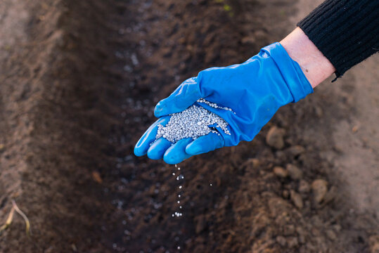 Spreading Fertilizer by Hand for Soil Nourishment