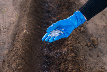 Spreading Fertilizer by Hand for Soil Nourishment