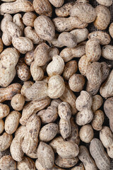 Organic peanuts in shell . Heap of peanut closeup