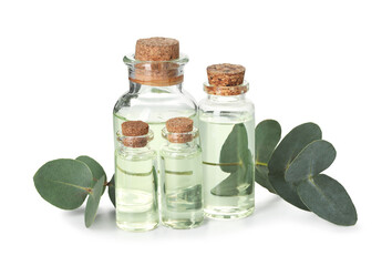 Bottles of essential oil and eucalyptus leaves isolated on white