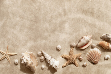Sandy beach with collections of white and beige seashells and starfish as natural textured background for summer travel and vacation design