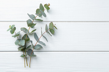 Eucalyptus branches on white wooden table, flat lay. Space for text