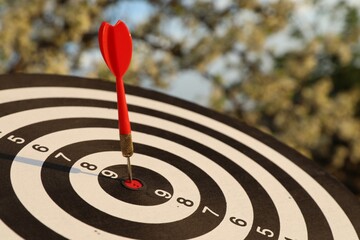 Targeting. Dart board with arrow outdoors, closeup
