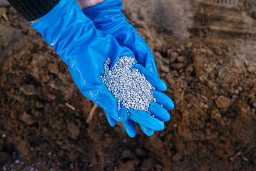 Close up hands hold mixed chemical fertilizer. Concept; chemical fertilizer production use in...