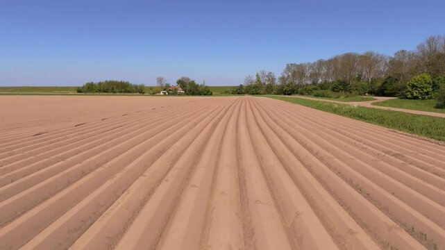 Aerial View of Planted Potato Field in Frisian Landscape &ndash; Netherlands