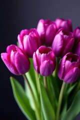 A vibrant bouquet of purple tulips, tightly clustered , background, colorful