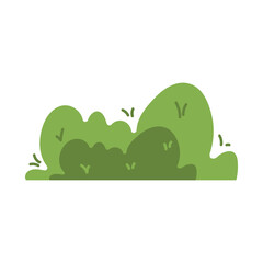 plant, leaf, green, bush, nature, foliage, garden, flora, flat, tree, botany, wild, natural, spring, organic, growth, outdoor, shrub, fresh, decorative