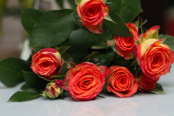 bouquet of red roses on white background