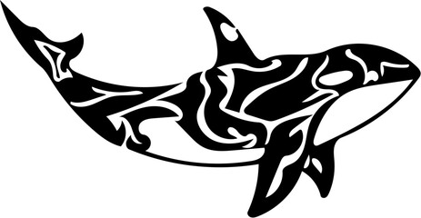 Killer whale © Raja