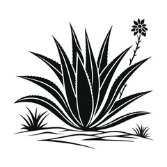 Geometric Agave_ A Minimalist Black and White Botanical Silhouette