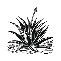 Geometric Agave_ A Minimalist Black and White Botanical Silhouette