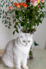 a white cat with flowers on the table 