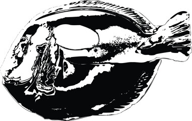 Black and white fish silhouette high contrast abstract organic shape.