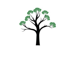 Obraz premium A tranquil silhouette of a lone tree , ideal for inspirational wall art, nature scenes, and creative branding.