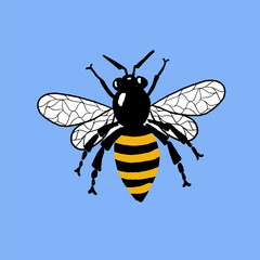 Illustration of a Detailed Honeybee with Yellow and Black Stripes