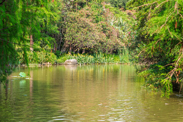 landscape of lake in park