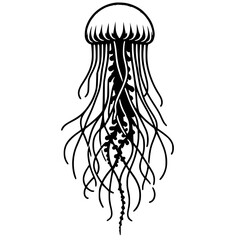 Silhouette of sea jellyfish