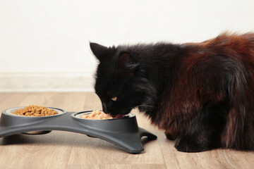 Black cat eating wet food from aluminum container on floor kitchen tiles background. Hungry kitty...