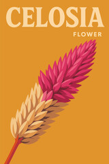 Close-up of Unique Flower with Pink and Yellow on Orange