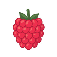raspberry fruit icon; perfect for healthy food projects, vegan product packaging, mobile apps, or botanical design themes- vector illustration