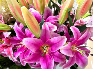 Close up of decorative purple Easter lily flower. Also called trumpet lily. Floral true lilies decoration seamless background texture.