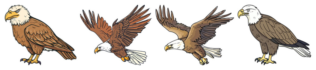 Obraz premium PNG Flying bird beak wildlife transparent background.