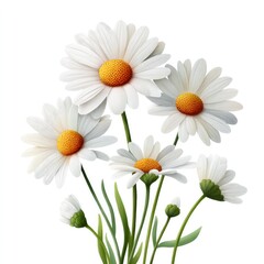Fototapeta premium Charming watercolor illustration of daisy flowers for children's book design and art projects