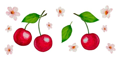 Set of illustrations with branches of juicy red cherries green leaves pink flowers on a white background, made in watercolor technique. Bright and summery design.