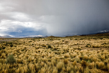 Desert and prairie of Bolivia. Landscapes of the LaPaz - Uyuni Road