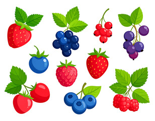 Vibrant Collection of Summer Berries and Fruits Illustration