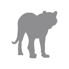 Tiger vector silhouette on transparent background