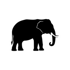 Fototapeta premium Elephant silhouette vector flat illustration design.