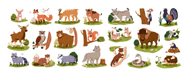 Cute forest animals set. Woodland characters. Kids wildlife. Wild bear, fox, owl bird, squirrel and hedgehog. Sweet wood habitats. Childrens flat vector illustration isolated on white background © Good Studio