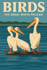 Pelican Birds Standing on Log Illustration at Water Graphic Design