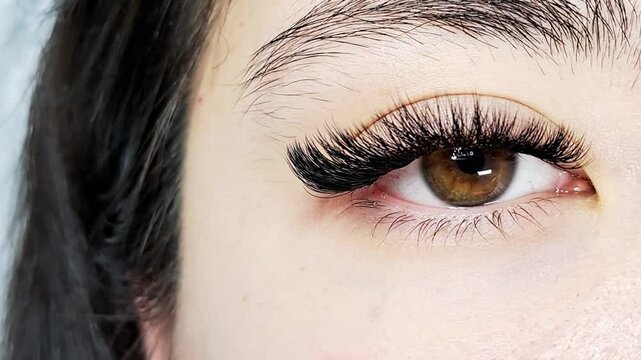 Close up of eye with eyelash extensions ,beauty salon treatment ,2d volume, 3d volume, classical lashes,Russian volume,megavolume, new set.