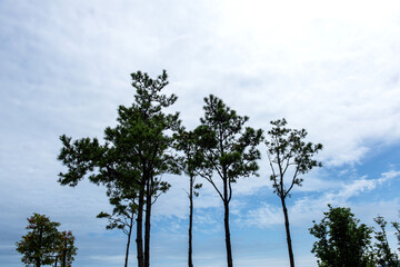 The beautiful sea shore coast.cliff rock and wave.
