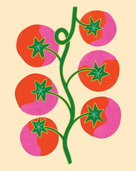 AESTHETIC TOMATO PLANT DIGTIAL ILLUSTRATION