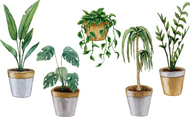 Vector set of indoor plants. Watercolor illustration. White background. For your design