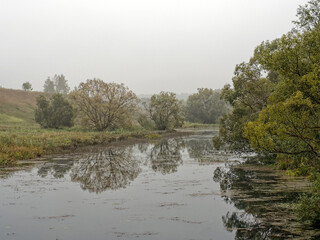 the bank of a small river in spring