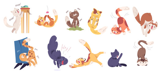 Fototapeta premium Cat behavior. Cats body language, funny cute kitten different tail action kitty poses and mood scared angry play friend feeling, cartoon kittens pet set classy vector illustration