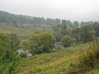 the bank of a small river in spring