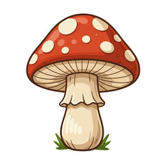 Red Mushroom with White Spots, Nature Illustration with Transparent Background