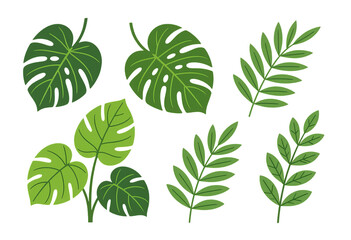 Tropical Leaves, Green, Transparent Background