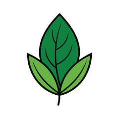 Leaf Vector on White Background