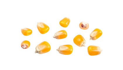 Fresh corn kernels are scattered transparency background, showcasing their vibrant yellow color and unique shapes. These kernels represent essence of summer harvest and are perfect for various