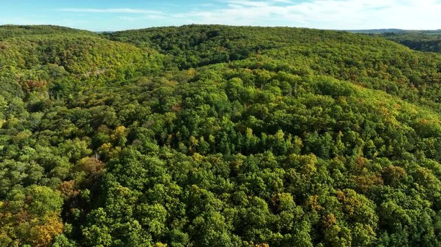 Drone shot - a thick forest covers a hilly landscape on a sunny day