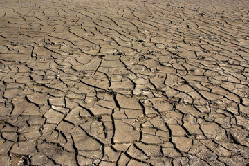 Cracked Clay in the Wadden Sea – Aerial View Symbolizing Climate Change