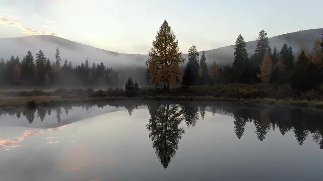 Serene autumn landscape with a reflective lake surrounded by misty mountains and colorful trees - yellow pine