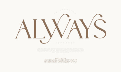 Elegant serif display font with luxurious curves and modern style perfect for branding, editorial, and premium design projects.