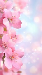 Delicate pink cherry blossoms blooming against soft bokeh, embodying gentle springtime serenity and elegant natural beauty